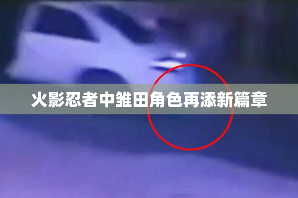 火影忍者中雏田角色再添新篇章