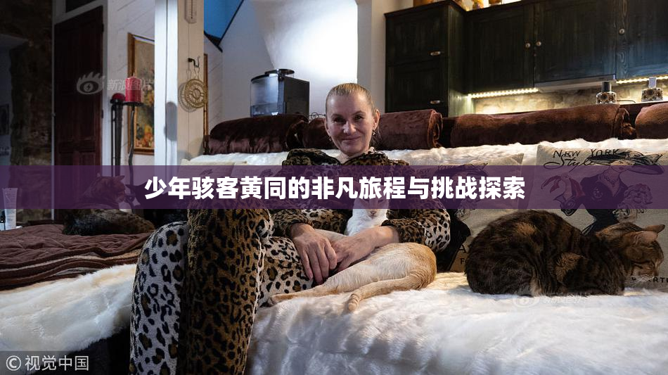 少年骇客黄同的非凡旅程与挑战探索