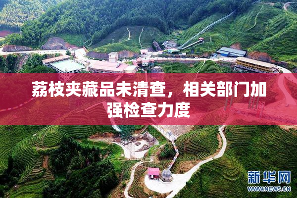 荔枝夹藏品未清查，相关部门加强检查力度