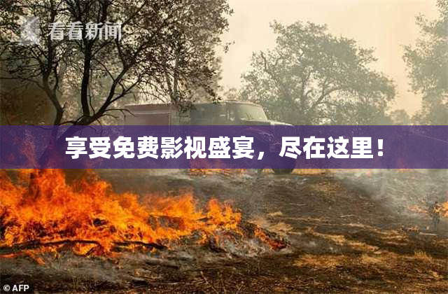 享受免费影视盛宴，尽在这里！
