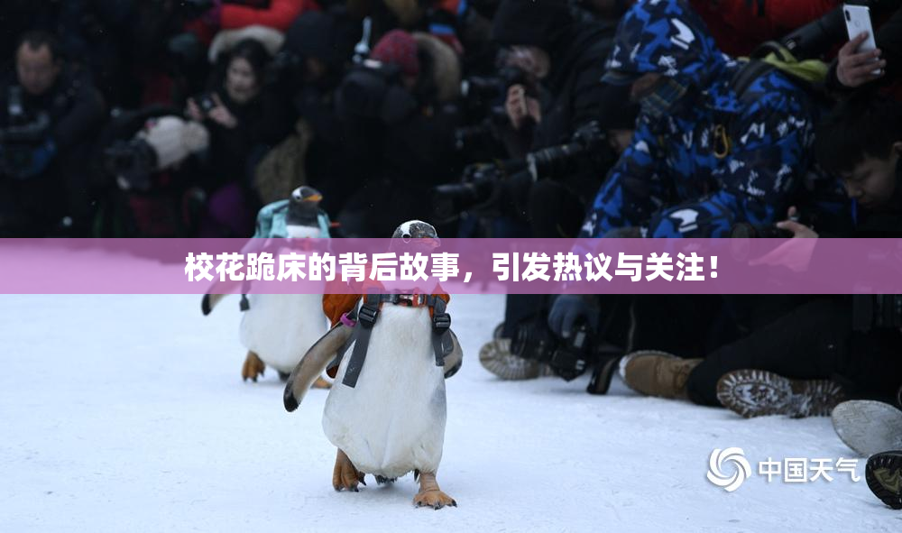 校花跪床的背后故事，引发热议与关注！
