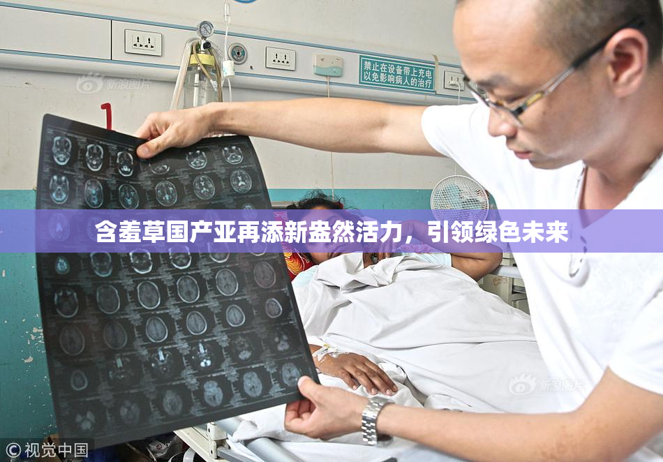 含羞草国产亚再添新盎然活力，引领绿色未来