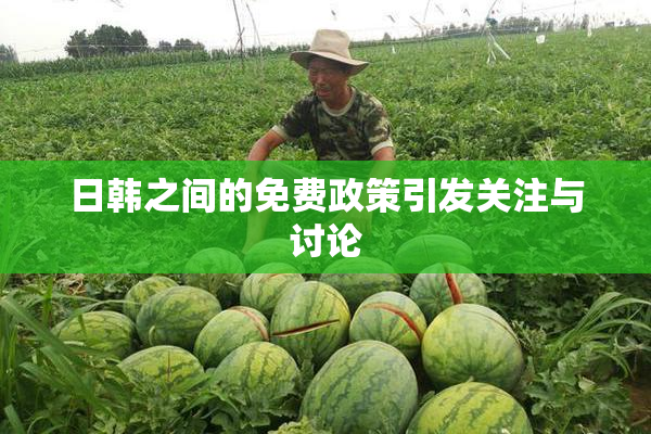 日韩之间的免费政策引发关注与讨论