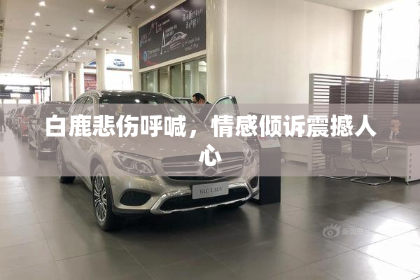 白鹿悲伤呼喊，情感倾诉震撼人心