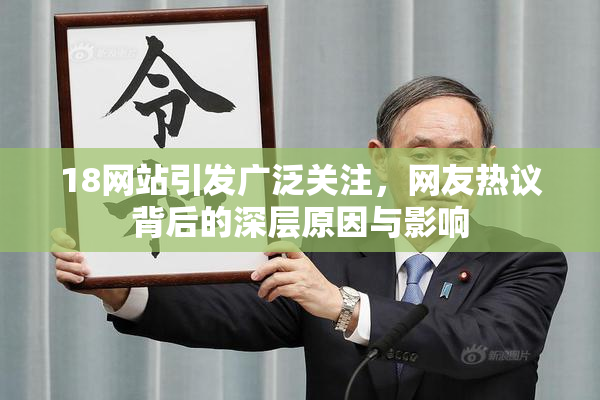 18网站引发广泛关注，网友热议背后的深层原因与影响