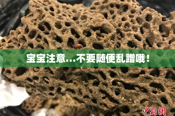 宝宝注意…不要随便乱蹭哦！