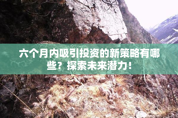 六个月内吸引投资的新策略有哪些？探索未来潜力！