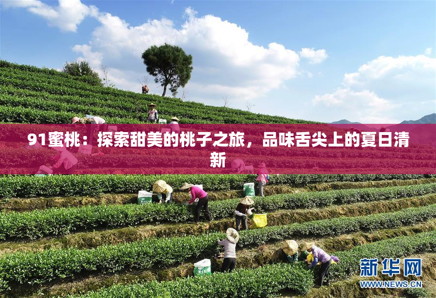 91蜜桃：探索甜美的桃子之旅，品味舌尖上的夏日清新