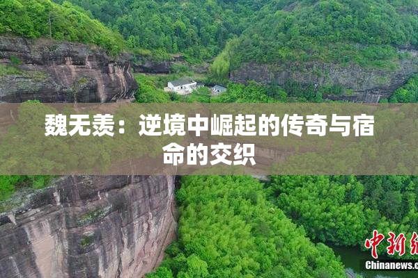魏无羡：逆境中崛起的传奇与宿命的交织