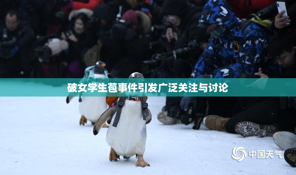 破女学生苞事件引发广泛关注与讨论