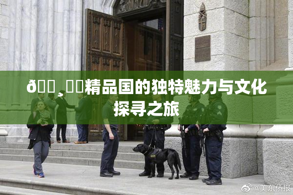 🌸‌✿精品国的独特魅力与文化探寻之旅
