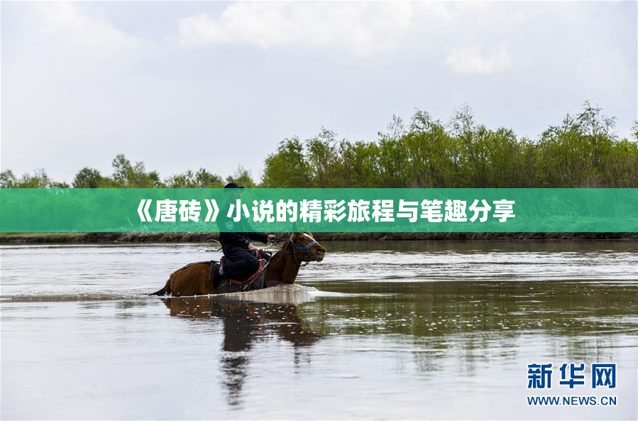 《唐砖》小说的精彩旅程与笔趣分享