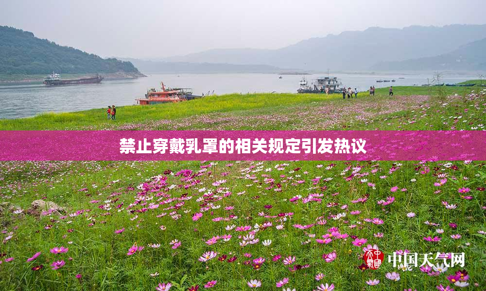 禁止穿戴乳罩的相关规定引发热议