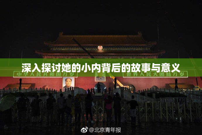 深入探讨她的小内背后的故事与意义