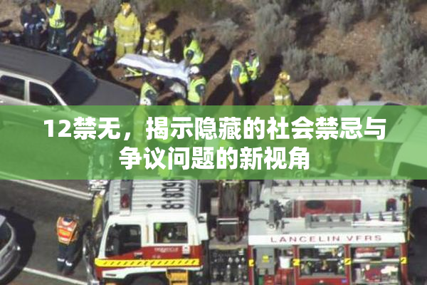 12禁无，揭示隐藏的社会禁忌与争议问题的新视角