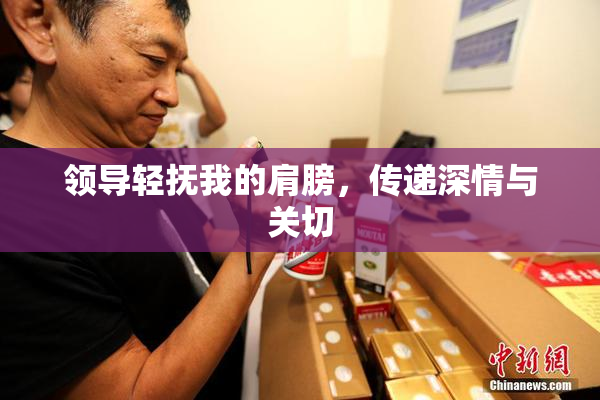 领导轻抚我的肩膀，传递深情与关切