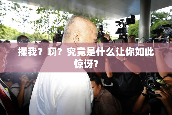 揉我？啊？究竟是什么让你如此惊讶？
