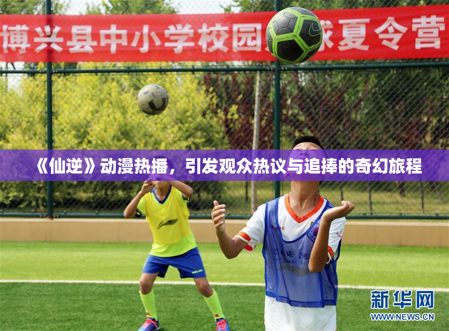 《仙逆》动漫热播，引发观众热议与追捧的奇幻旅程