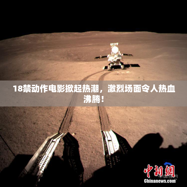 18禁动作电影掀起热潮，激烈场面令人热血沸腾！