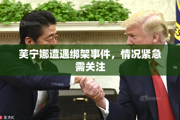 芙宁娜遭遇绑架事件，情况紧急需关注