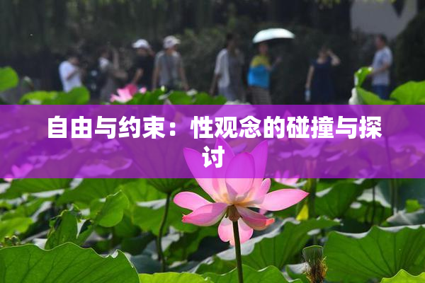 自由与约束：性观念的碰撞与探讨
