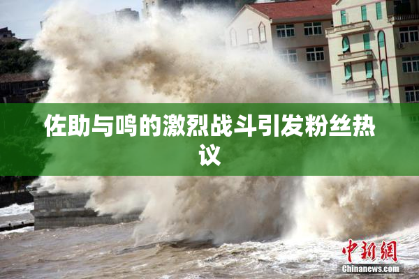 佐助与鸣的激烈战斗引发粉丝热议