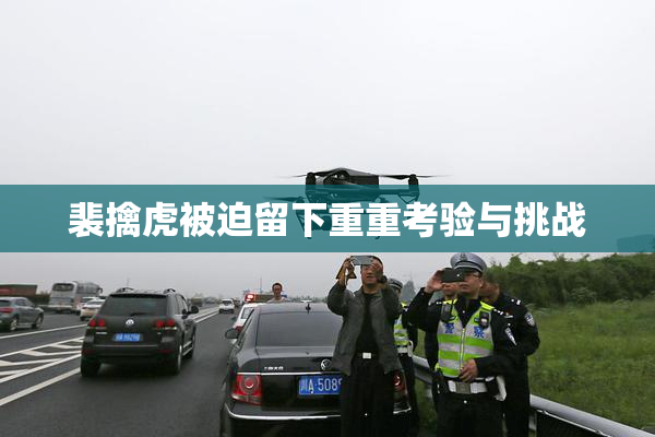 裴擒虎被迫留下重重考验与挑战