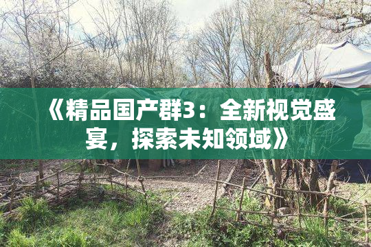 《精品国产群3：全新视觉盛宴，探索未知领域》