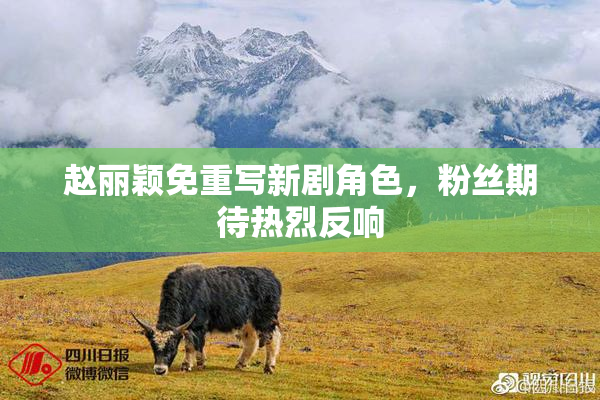 赵丽颖免重写新剧角色，粉丝期待热烈反响