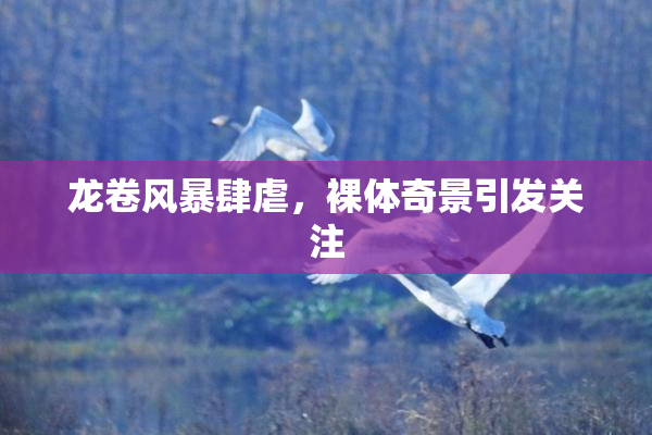 龙卷风暴肆虐，裸体奇景引发关注