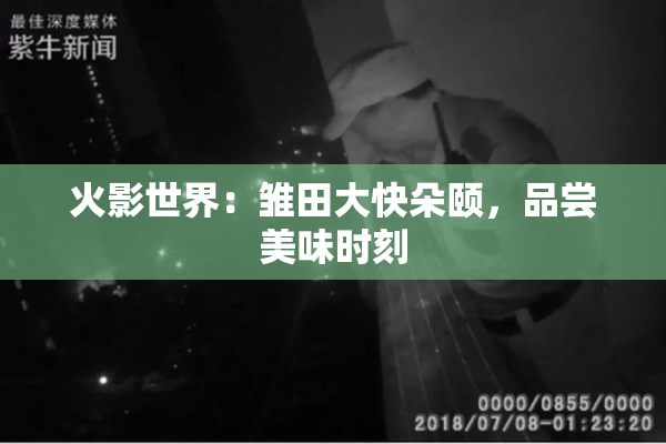 火影世界：雏田大快朵颐，品尝美味时刻
