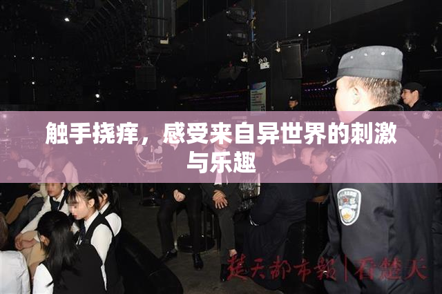 触手挠痒，感受来自异世界的刺激与乐趣