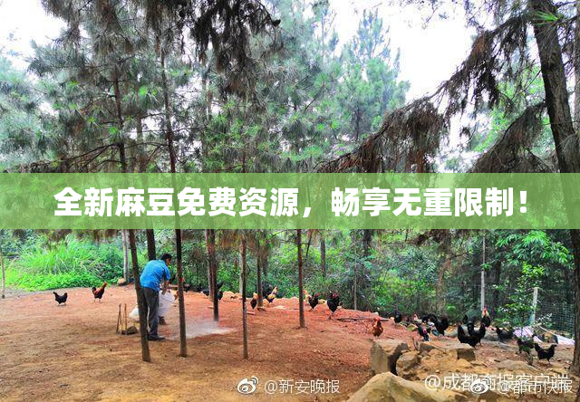 全新麻豆免费资源，畅享无重限制！
