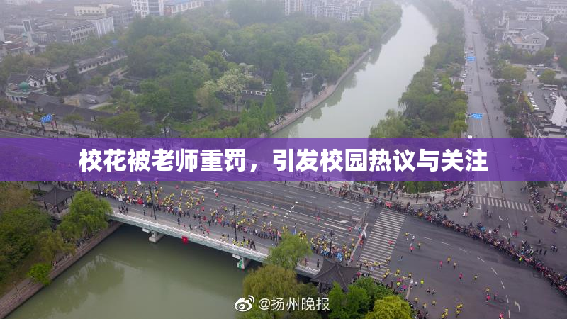校花被老师重罚，引发校园热议与关注
