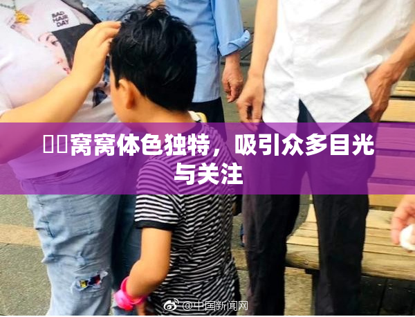 妺妺窝窝体色独特，吸引众多目光与关注