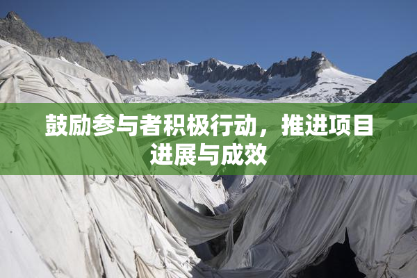 鼓励参与者积极行动，推进项目进展与成效