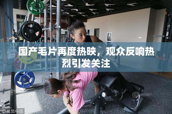 国产毛片再度热映，观众反响热烈引发关注