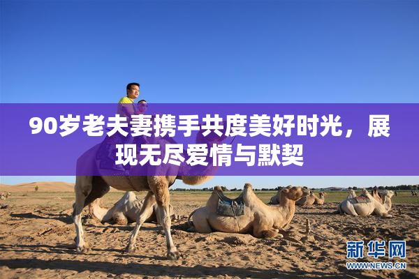 90岁老夫妻携手共度美好时光，展现无尽爱情与默契