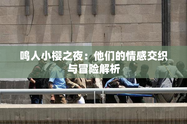 鸣人小樱之夜：他们的情感交织与冒险解析