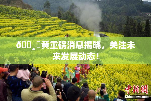 🌸‌黄重磅消息揭晓，关注未来发展动态！