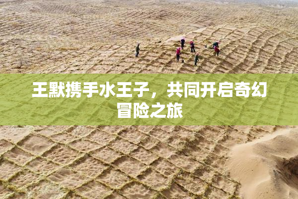 王默携手水王子，共同开启奇幻冒险之旅