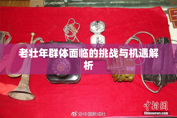 老壮年群体面临的挑战与机遇解析