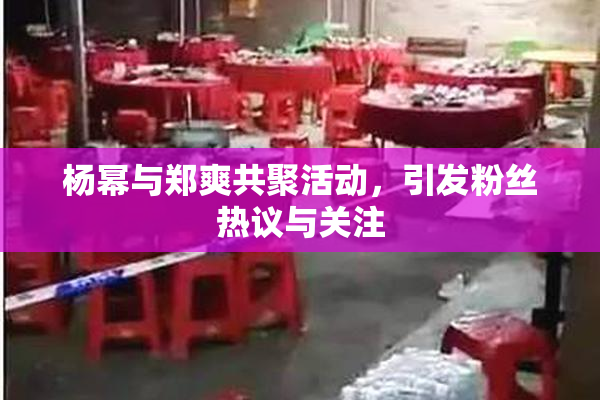 杨幂与郑爽共聚活动，引发粉丝热议与关注
