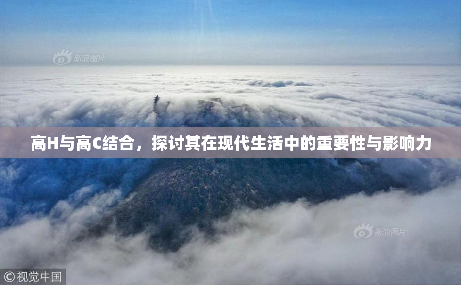 高H与高C结合，探讨其在现代生活中的重要性与影响力