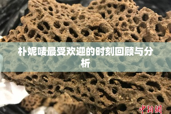 朴妮唛最受欢迎的时刻回顾与分析