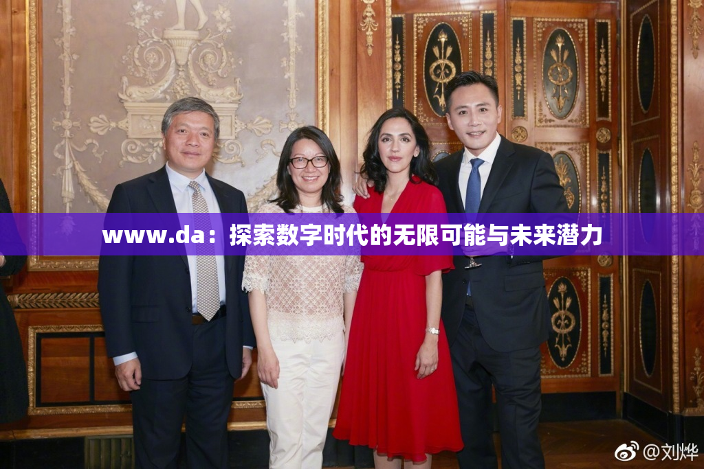 www.da：探索数字时代的无限可能与未来潜力