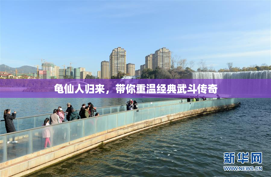 龟仙人归来，带你重温经典武斗传奇
