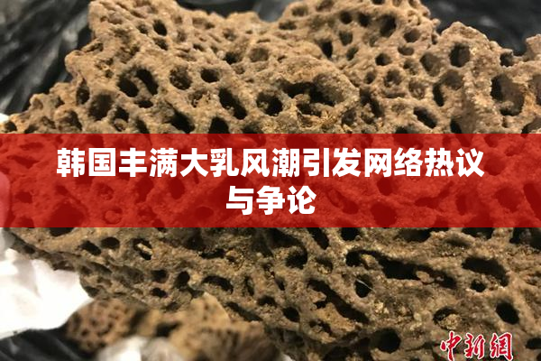 韩国丰满大乳风潮引发网络热议与争论