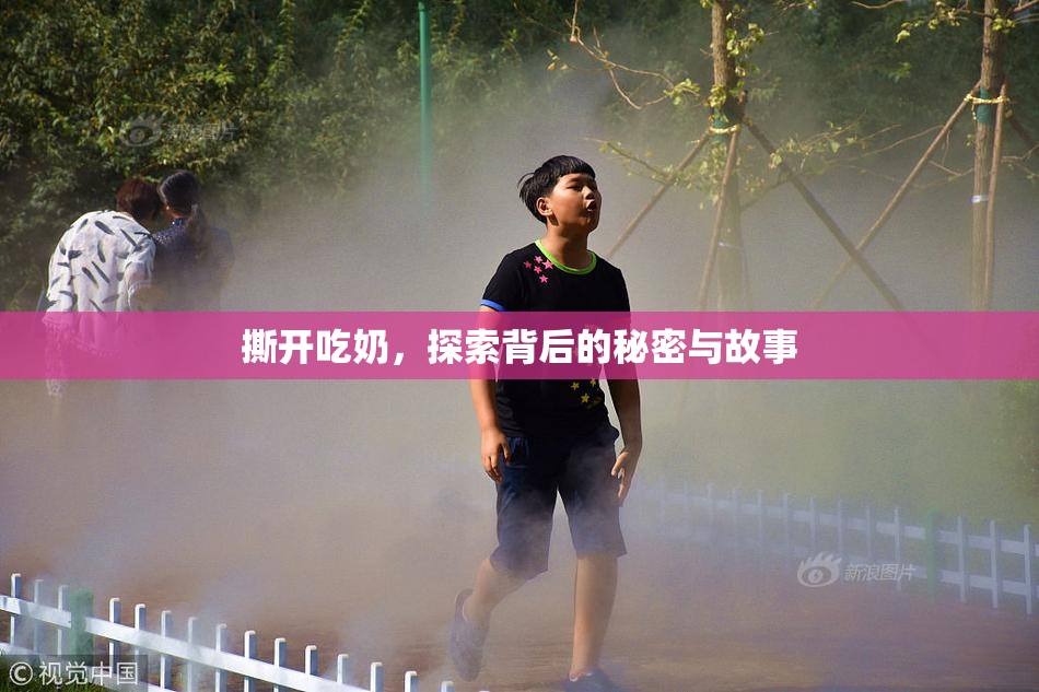 撕开吃奶，探索背后的秘密与故事