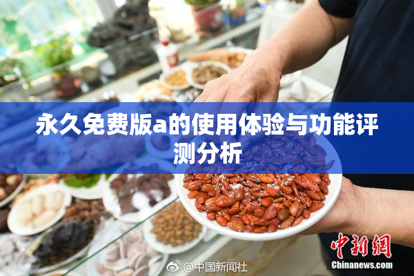 永久免费版a的使用体验与功能评测分析